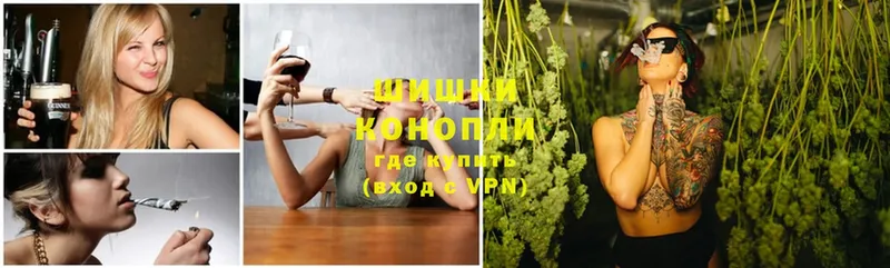 магазин    Волосово  МАРИХУАНА OG Kush 